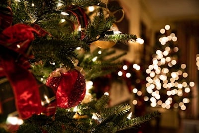 Sample message image for message from Sal & Ezra