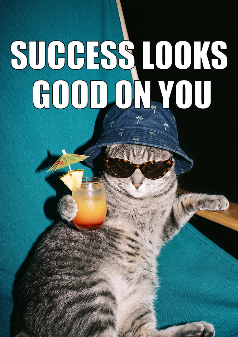 Chill Cat Work Anniversary Card