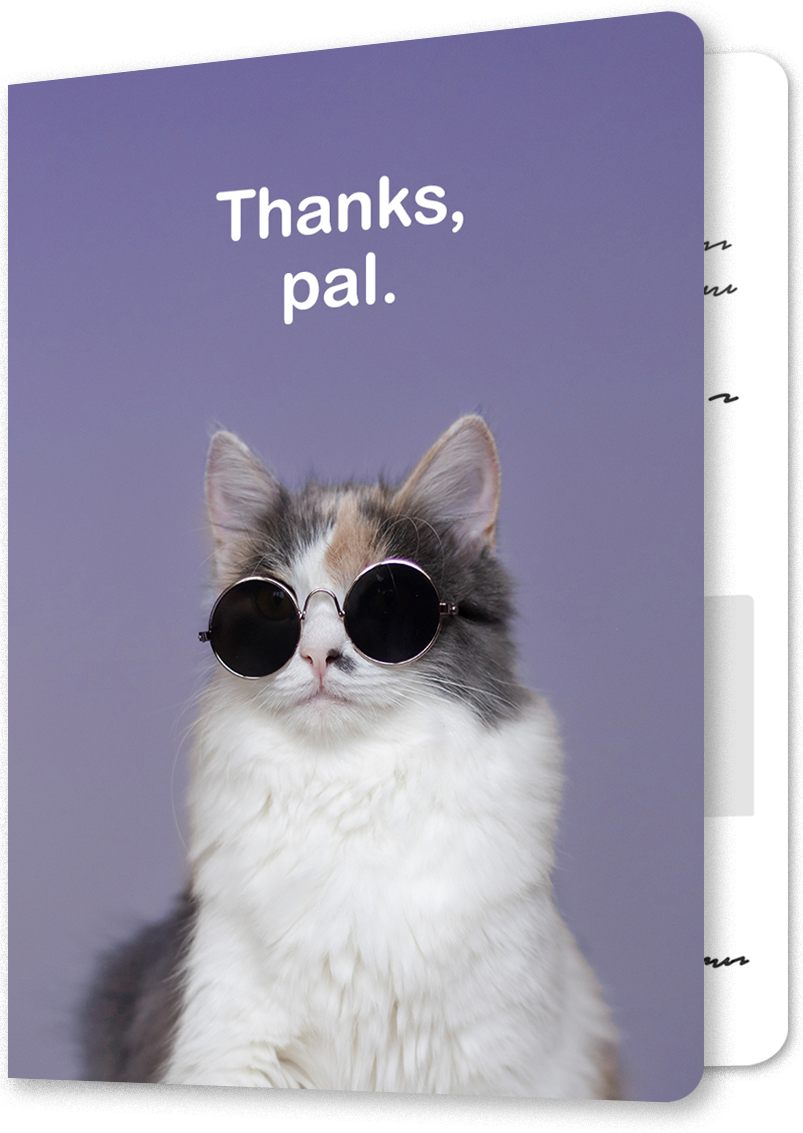 Chill Sunglasses Cat Thank You Card