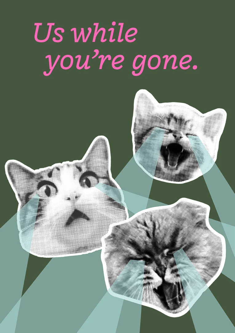 Dramatic Crying Cats Leaving Card
