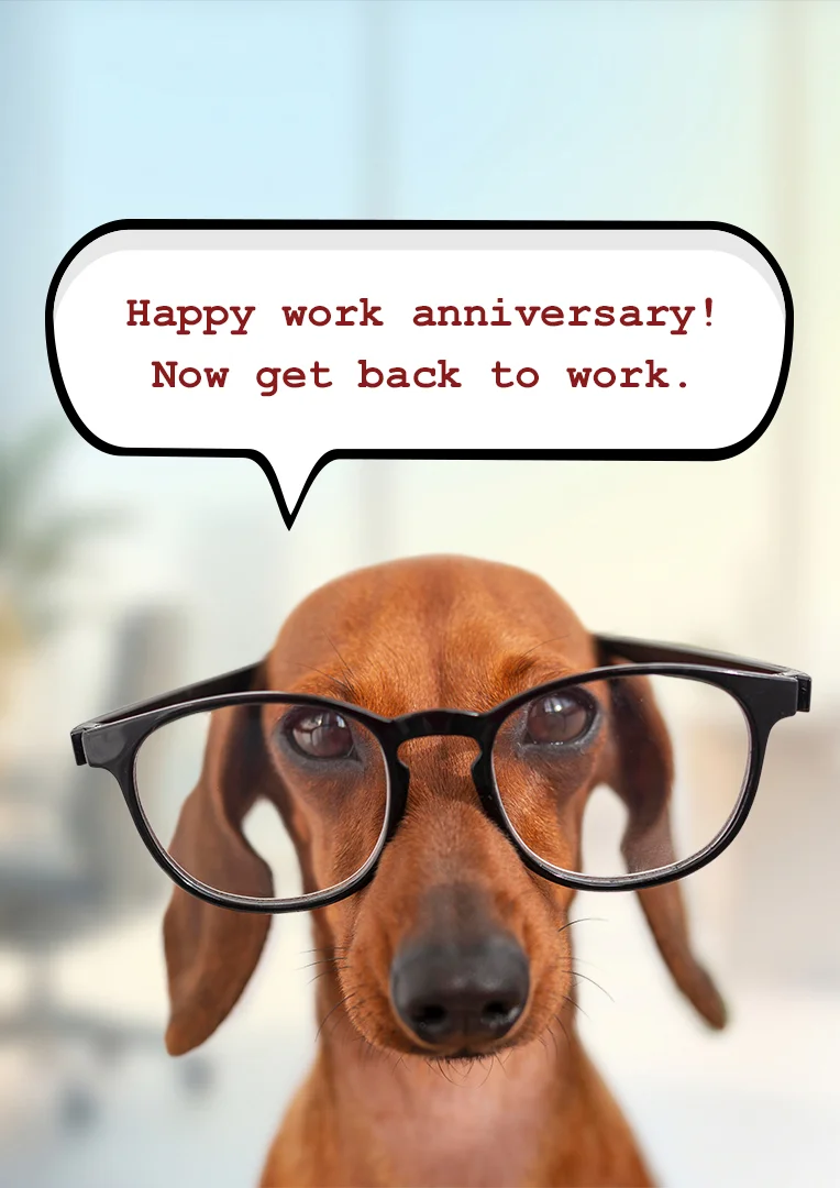 Studious Dachshund Work Anniversary Card