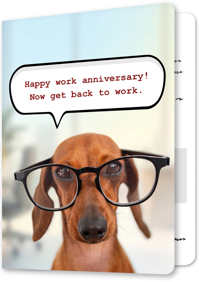 <p>Studious Dachshund Work Anniversary Card</p>
 image