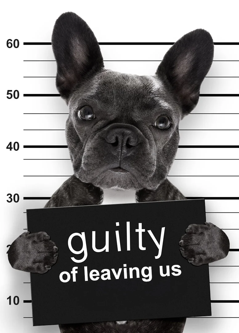 Arresting Frenchie Good Luck Card