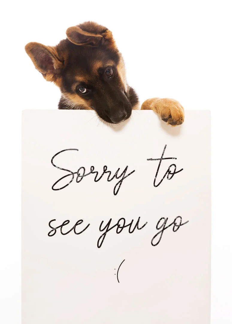 Loyal Companion Puppy Good Luck Card