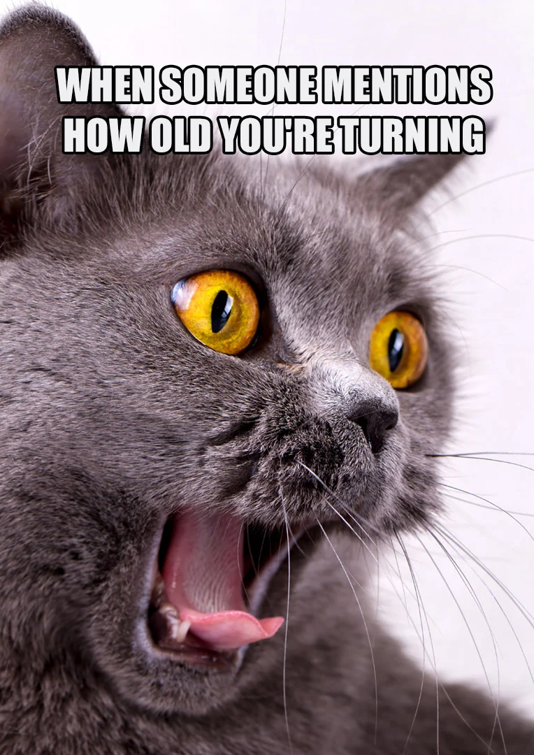 Funny Screaming Cat Birthday Card