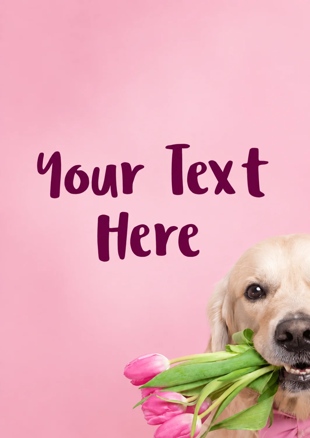 A Pawsitive Labrador Good Luck Card