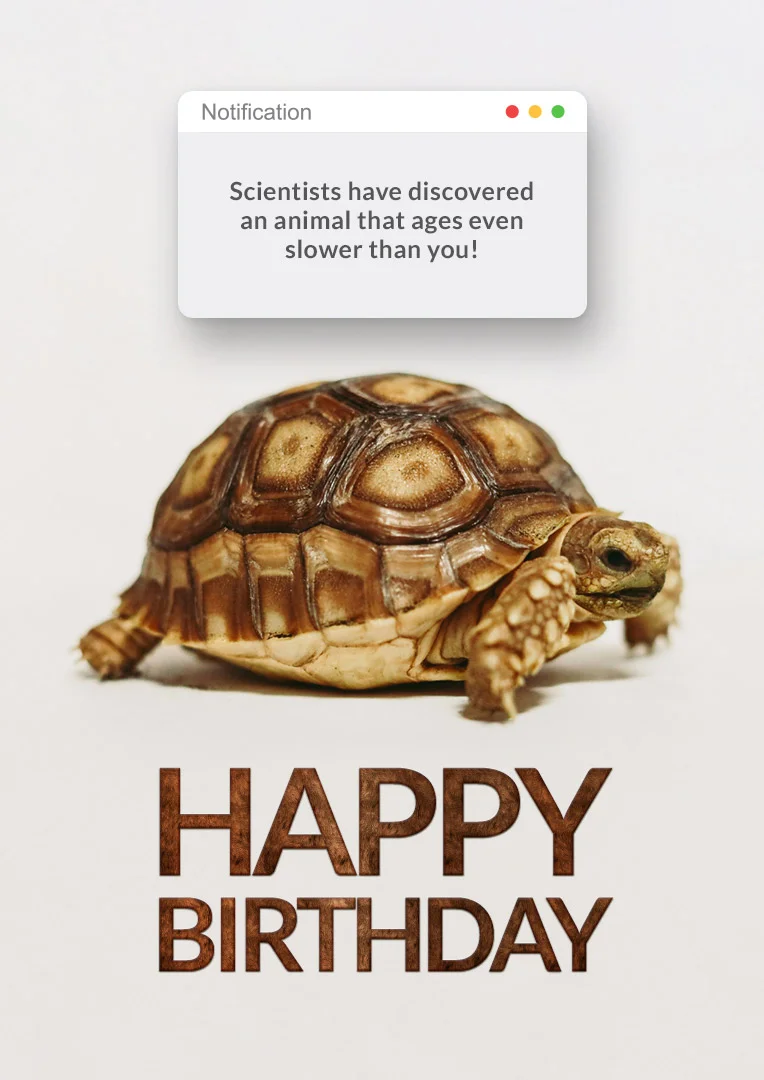 Funny Slow Aging Animal Birthday Card