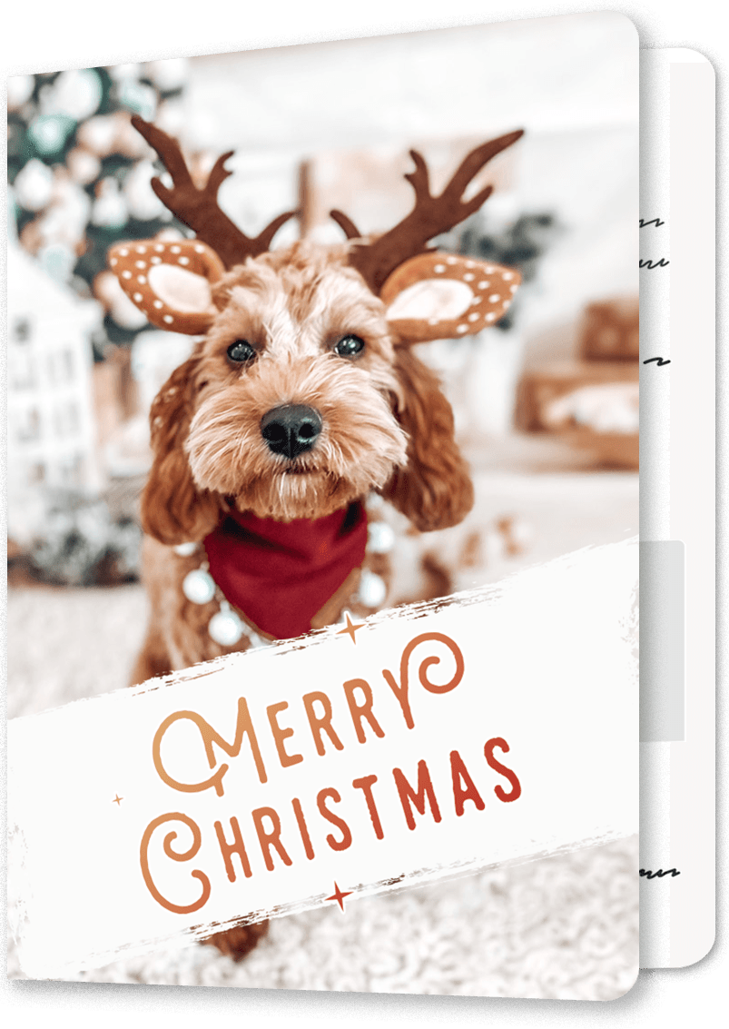 Festive Reindeer Cavapoo Christmas Card