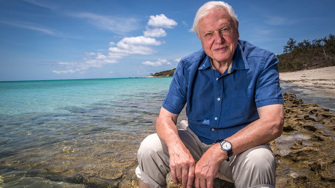 Sir David Attenborough at the Great Barrier Reef