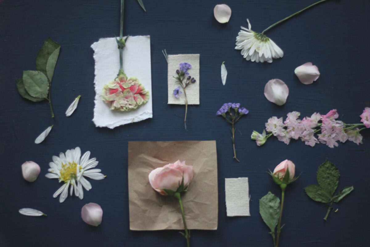 Pressed flowers