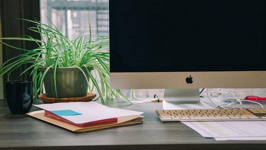 Desk plants