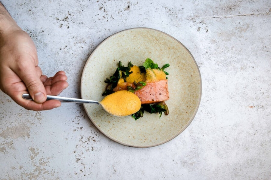 salmon and sauce fine dining