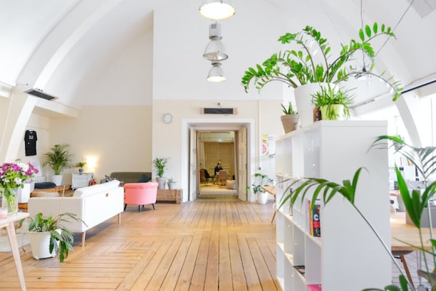 Plants in an office