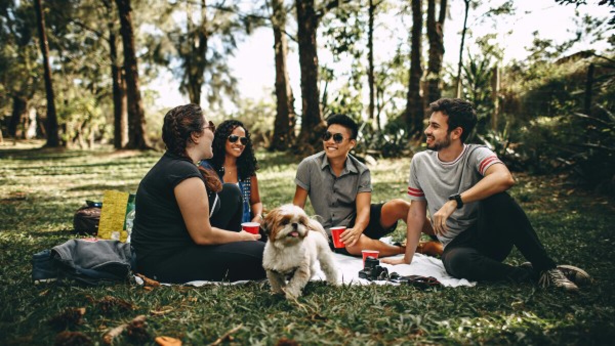 Friends on a picnic in a park
